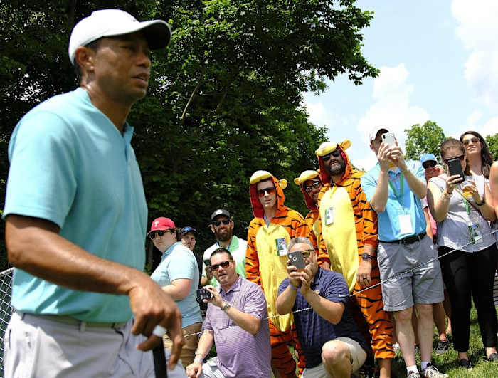 Image placeholder title